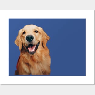 yellow Labrador Retriever Posters and Art